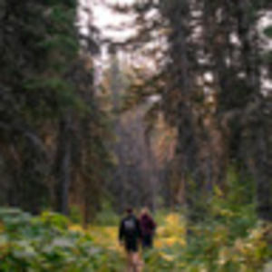 Meet your Posher, Benjamin